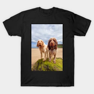 On a Rock at the beach Spinoni T-Shirt